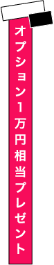 WEB予約特典オプション1万円相当プレゼント