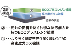 ECOプラスレジン被膜と高密度ガラス被膜の2層構造