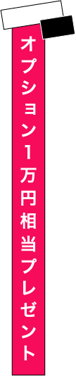 WEB予約特典オプション1万円相当プレゼント